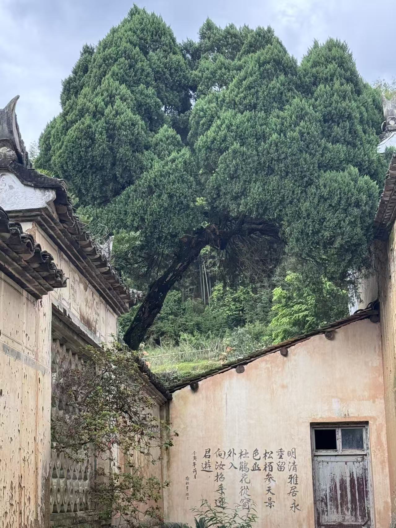本地图片